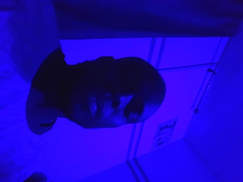 Man image