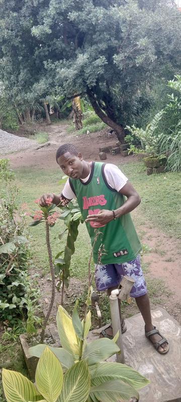 Man image