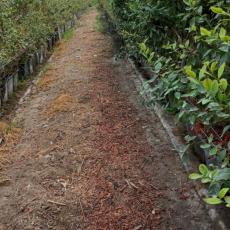 people looking to talk