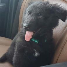 more prospect