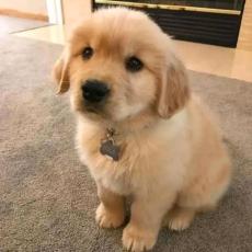 more prospect