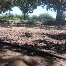 people looking to talk