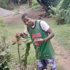 more prospect