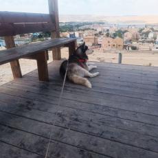 people looking to talk