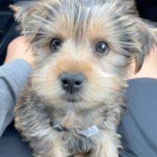 people looking to talk