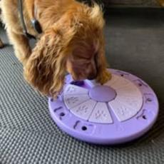 people looking to talk